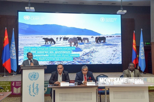 United Nations Begins Aid Distribution to Mongolian Herders Affected by Severe Dzud