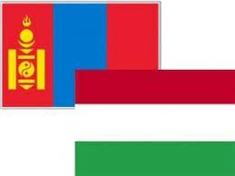 Mongolia-Hungary Online Business Meeting